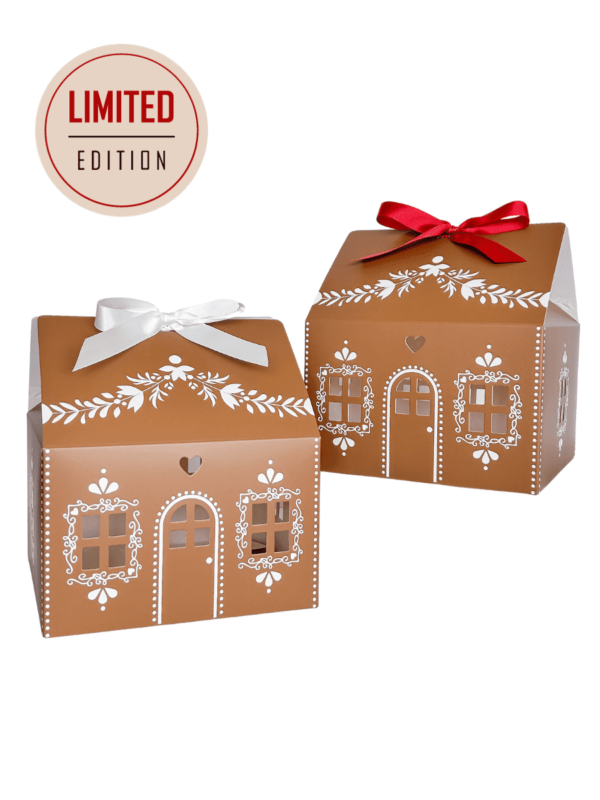 PREORDER * LIMITED EDITION * Holiday Gingerbread House Cookie Packaging with Ribbons (20 pack set)